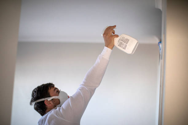 Best Kitchen Mold Remediation in Reese, MI